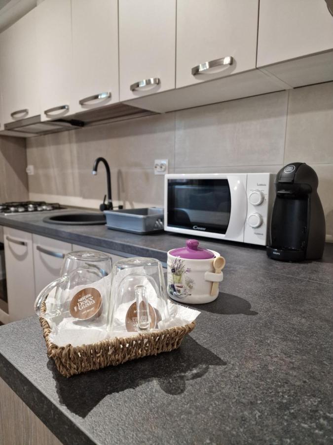 Vic Apartament Drobeta Turnu Severin Eksteriør billede