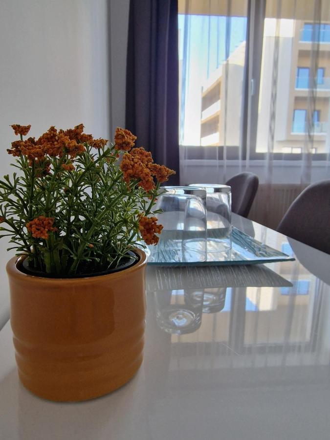 Vic Apartament Drobeta Turnu Severin Eksteriør billede