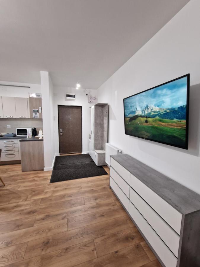 Vic Apartament Drobeta Turnu Severin Eksteriør billede